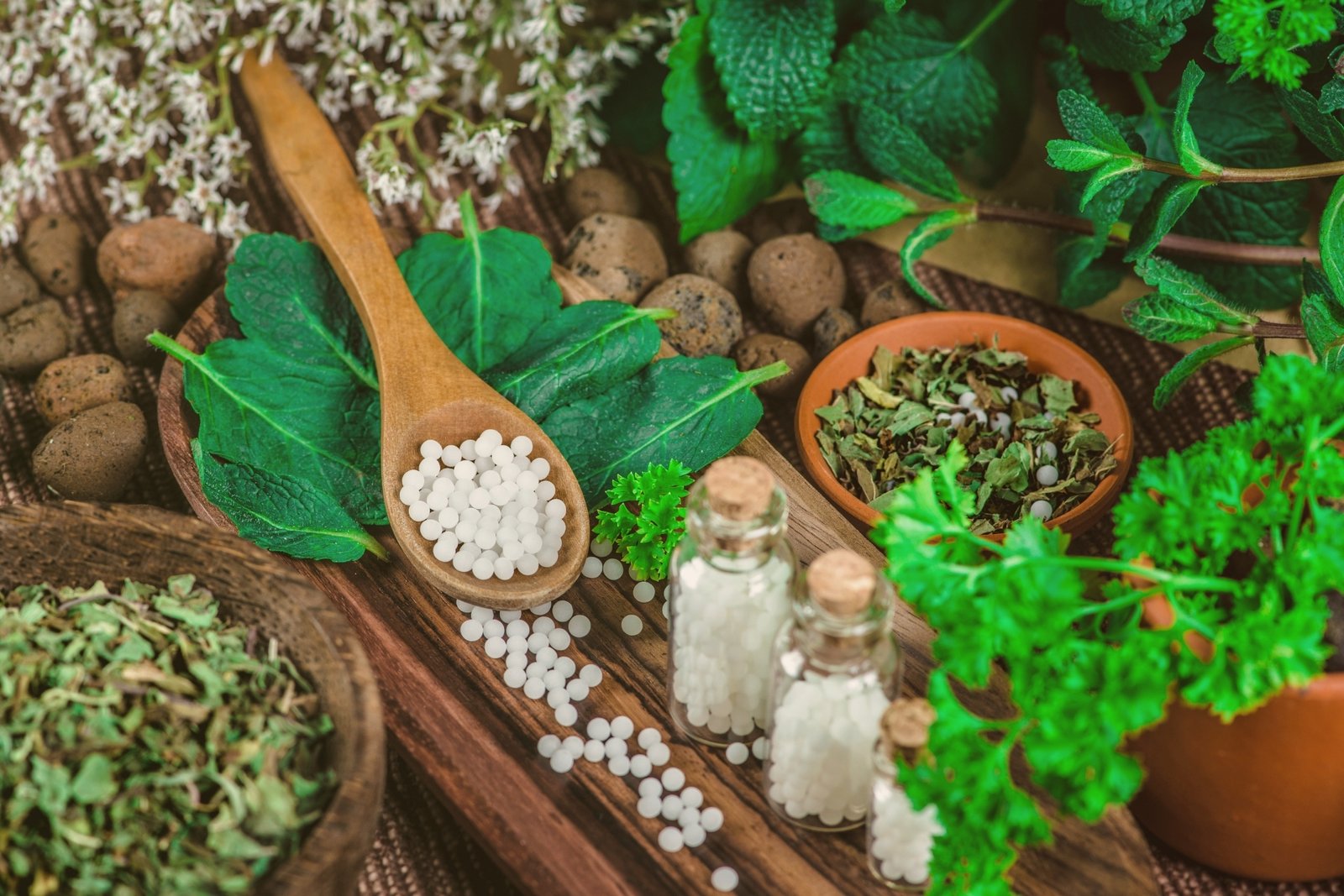 homeopathy college rajasthan