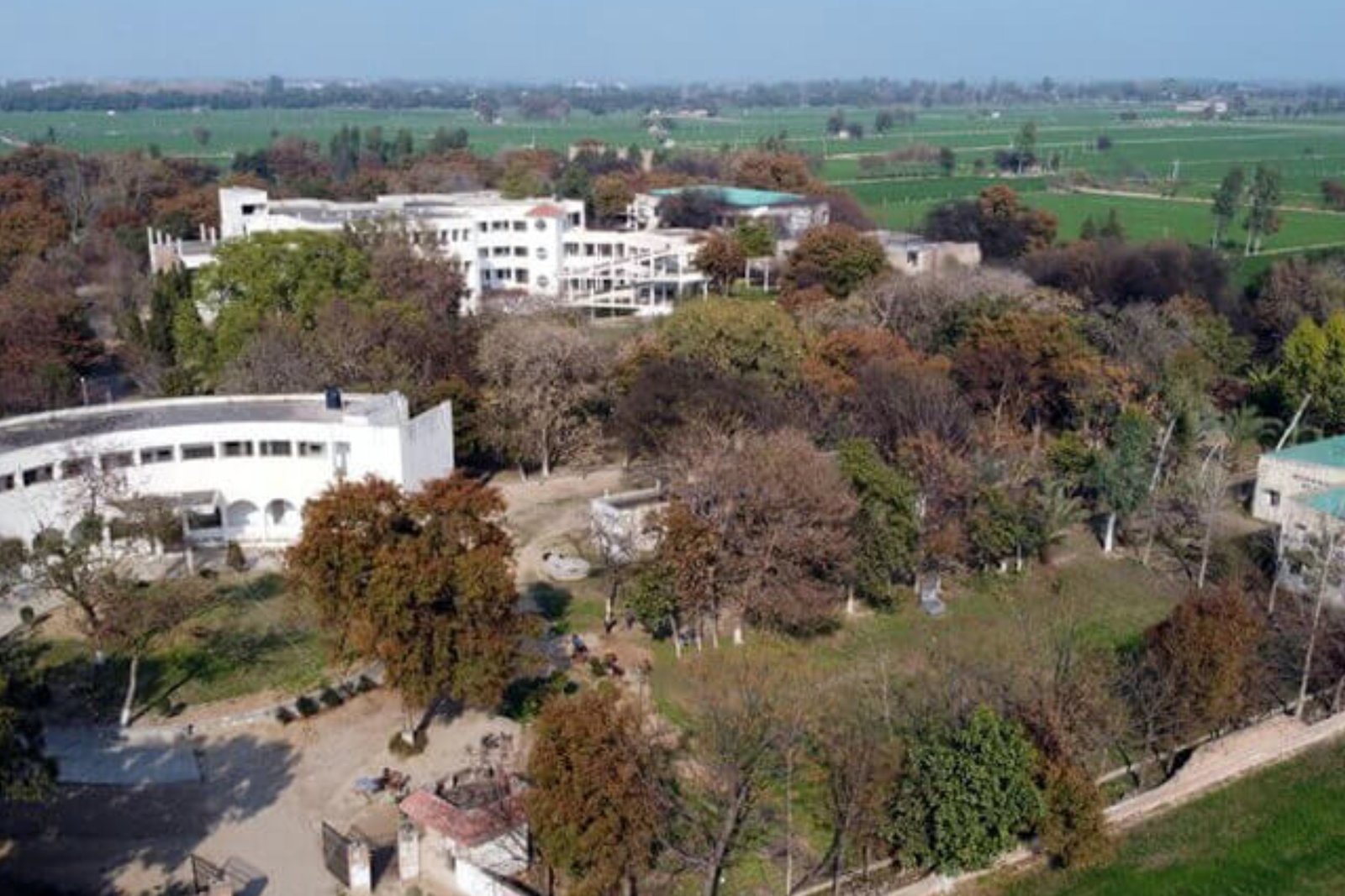 Homoeopathic College In Punjab 3