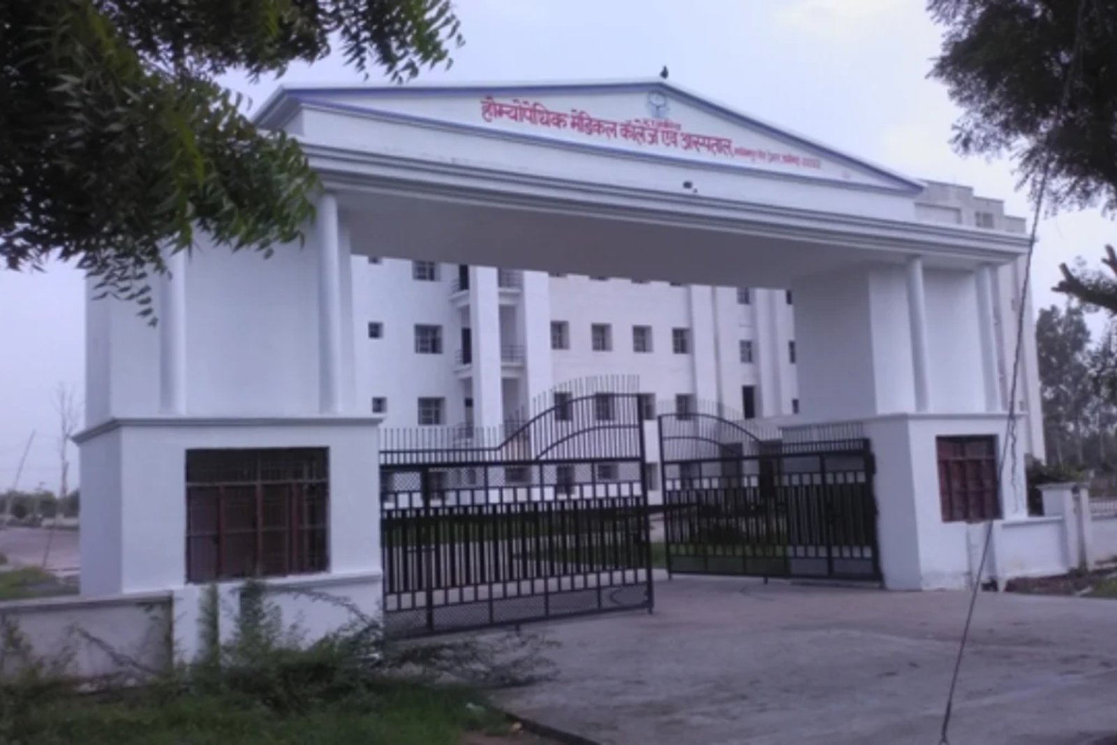 State Homoeopathic Medical College